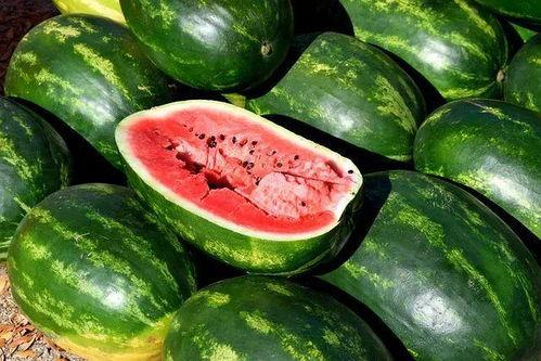 吃瓜照片视频素材无水印,无水印照片视频素材背后的故事