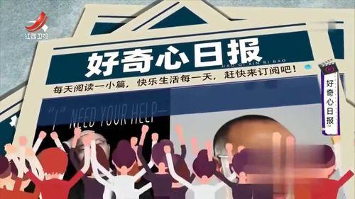 好奇心吃瓜视频在线观看,热门在线观看内容大盘点