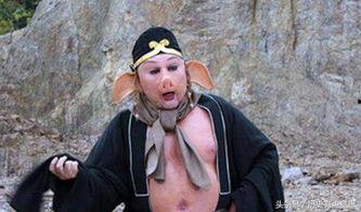 八戒不忘师傅吃瓜视频大全,趣味吃瓜视频大盘点