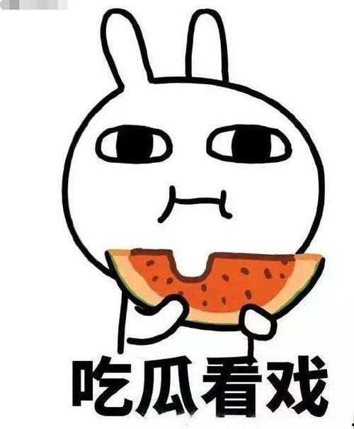 半夏说书吃瓜动漫视频,揭秘吃瓜动漫背后的趣味与深度