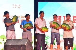 人民广场吃瓜事件视频,一场引发热议的街头现象