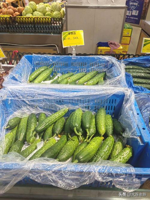 韩国老爸吃蜜瓜视频大全,趣味视频大盘点