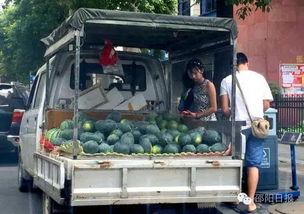 邵阳吃瓜视频,揭秘当地美食文化盛宴