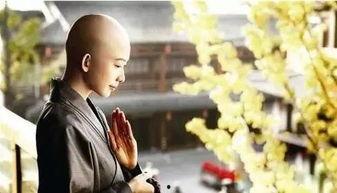 尼姑怀孕吃瓜视频,揭秘神秘事件背后的真相