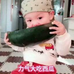 小孩子吃小瓜的视频大全,小瓜美食时光视频集锦