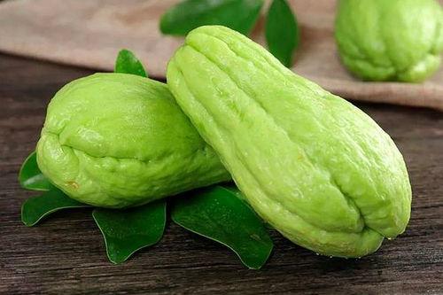 专吃佛手瓜茎会中毒吗视频,佛手瓜茎误食中毒风险揭秘