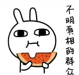 吃瓜段子故事背景视频,揭秘吃瓜段子背后的故事