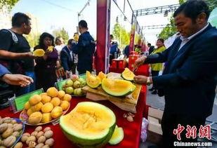 翰林院最新吃瓜视频