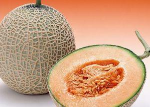 咖啡豆吃哈密瓜好吗视频