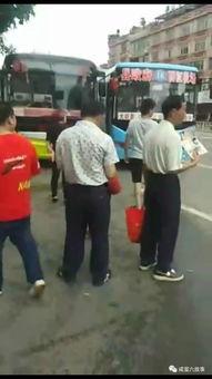 吃瓜群众过年围观视频,欢乐年味里的趣味瞬间