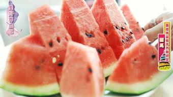 棱瓜哪里吃的多啊视频,揭秘各地棱瓜食用盛况