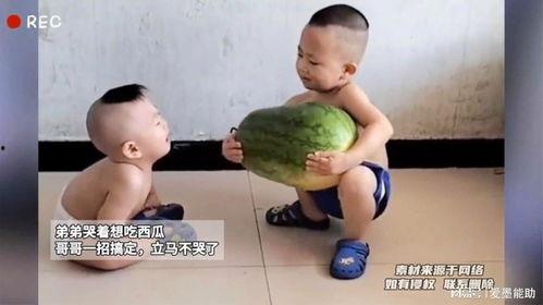 哥哥吃瓜的视频,揭秘娱乐圈幕后真相