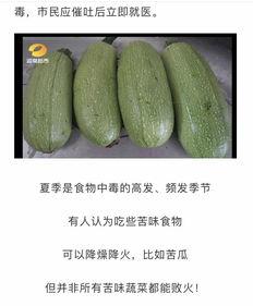 天天吃白瓜有坏处吗视频,健康还是隐患？揭秘日常饮食中的白瓜误区