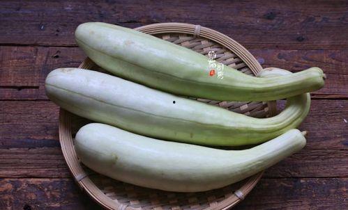 一年前购买的吃瓜视频