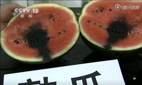 搞笑打针吃瓜视频,搞笑打针吃瓜视频，笑料横生，欢乐无限