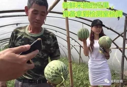 群众直播吃瓜视频