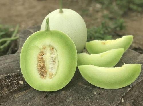 玉瓜可以怎样吃呢视频,解锁健康美味新体验