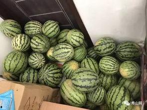 福建图书馆视频吃瓜,一场别开生面的“吃瓜”盛宴