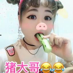 带你吃瓜搞笑视频猪,带你领略搞笑视频的欢乐盛宴