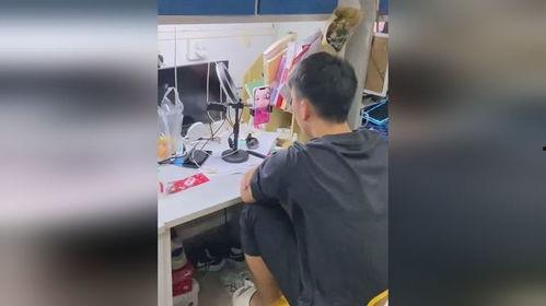 吃瓜人打赏视频