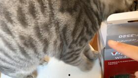 麻麻吃瓜小视频,揭秘娱乐圈幕后故事