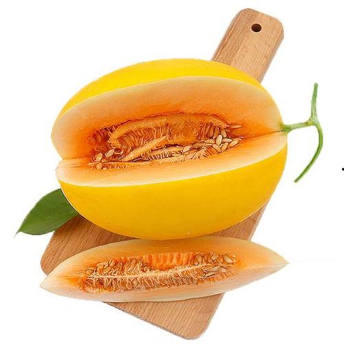 小鸡吃蜜瓜好吗视频,一场甜蜜的味蕾冒险