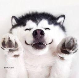 吃瓜调侃视频大全,带你领略网络幽默魅力