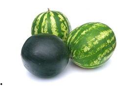 福建晋江吃瓜事件视频,一场引发热议的街头冲突纪实