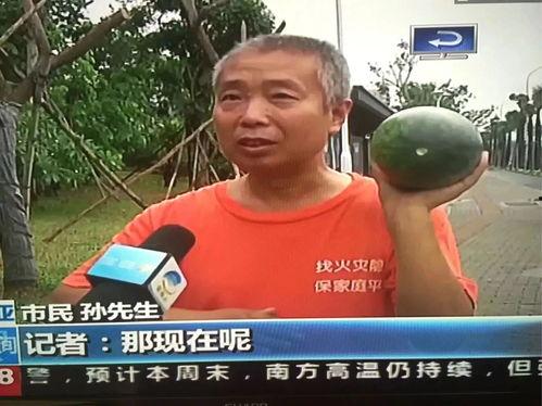 魏湾最新吃瓜事件视频,揭秘视频背后的惊人真相