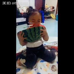 吃小瓜的萌宝视频大全,笑料百出视频大全