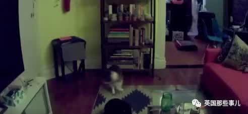 宿舍吃瓜闹鬼视频真实,吃瓜视频揭露闹鬼真相