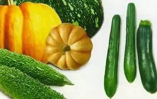 青岛方特吃瓜视频,趣味互动，欢乐无限