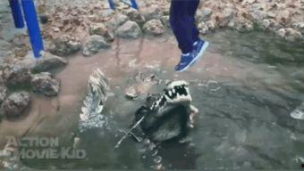 南山布狗仔吃瓜视频,揭秘娱乐圈幕后吃瓜大事件