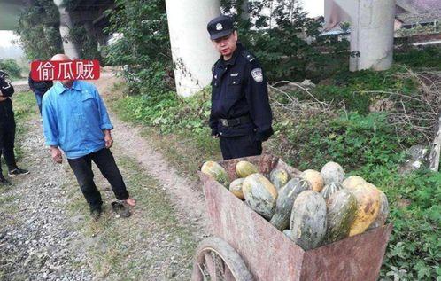 冕宁吃瓜事件真相视频完整版,揭秘真相背后的惊人内幕