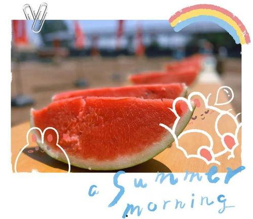 大型吃瓜的视频,揭秘娱乐圈幕后真相