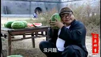 韩导吃瓜视频大全,揭秘娱乐圈幕后故事