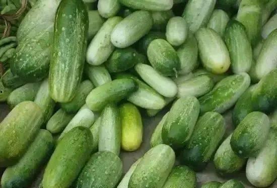 云南土瓜可以煮着吃吗视频,煮食新发现，美味家常菜