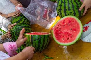 带你吃瓜视频作业