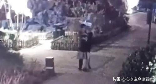 文水吃瓜最新事件视频完整版,视频完整版揭露惊人真相