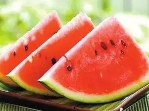 鄢陵吃瓜新闻视频播放,视频播放引发热议，网友热议不断