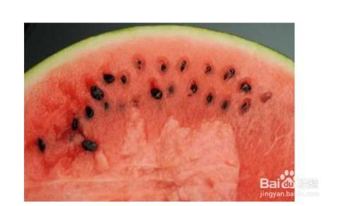北方人吃瓜吃籽吗视频播放